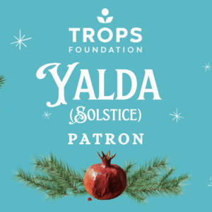 Winter Salon Patron Ticket